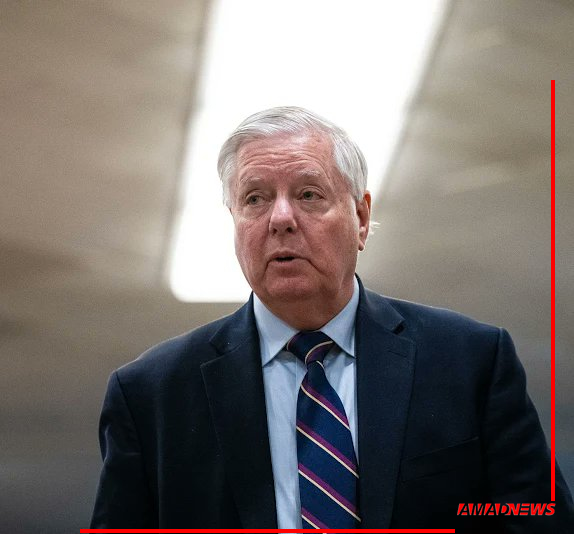 سناتور گراهام: چرا عربستان در جنگ علیه جمهوری اسلامی مشارکت نمی‌کند؟