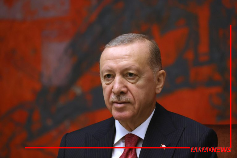 اردوغان: حمله به برادران ما قابل قبول نیست